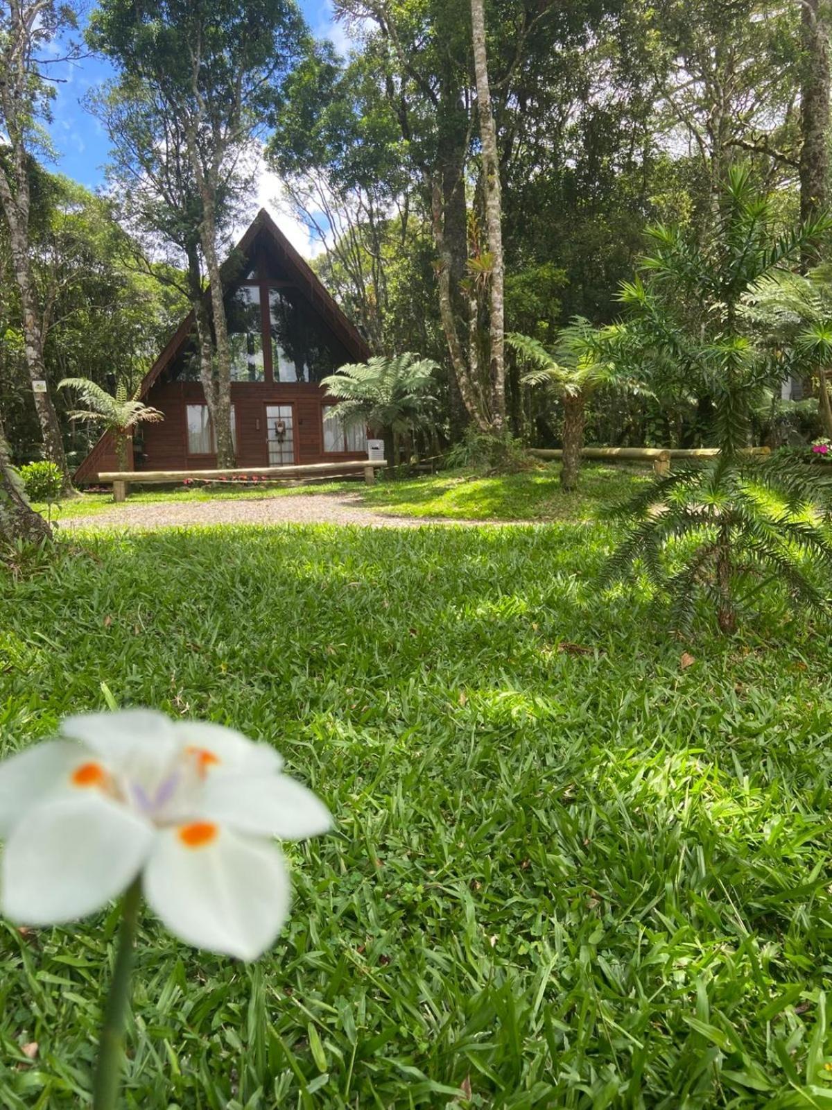 A Cabana Sao Chico Sao Francisco de Paula  Luaran gambar