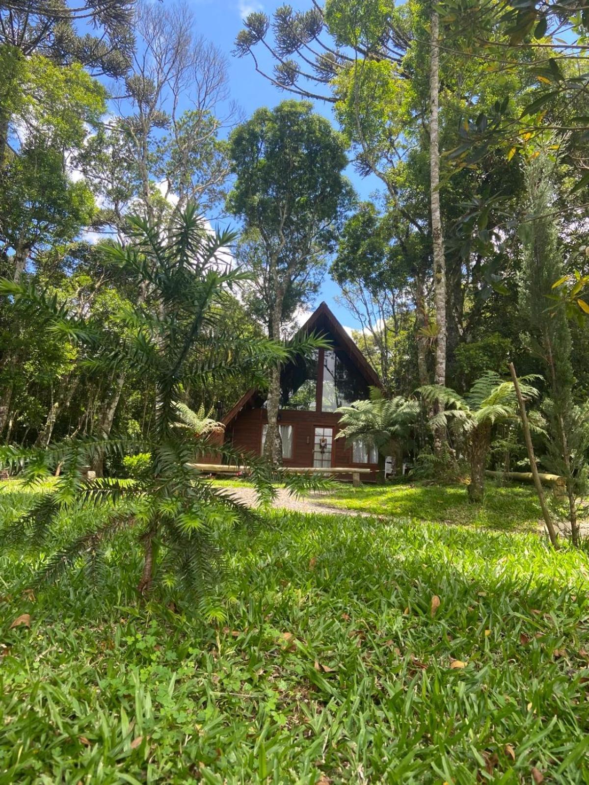 A Cabana Sao Chico Sao Francisco de Paula  Luaran gambar